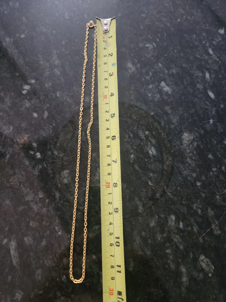 #freecycle Gold Chain Necklace - 20 Inches image indicator(2)
