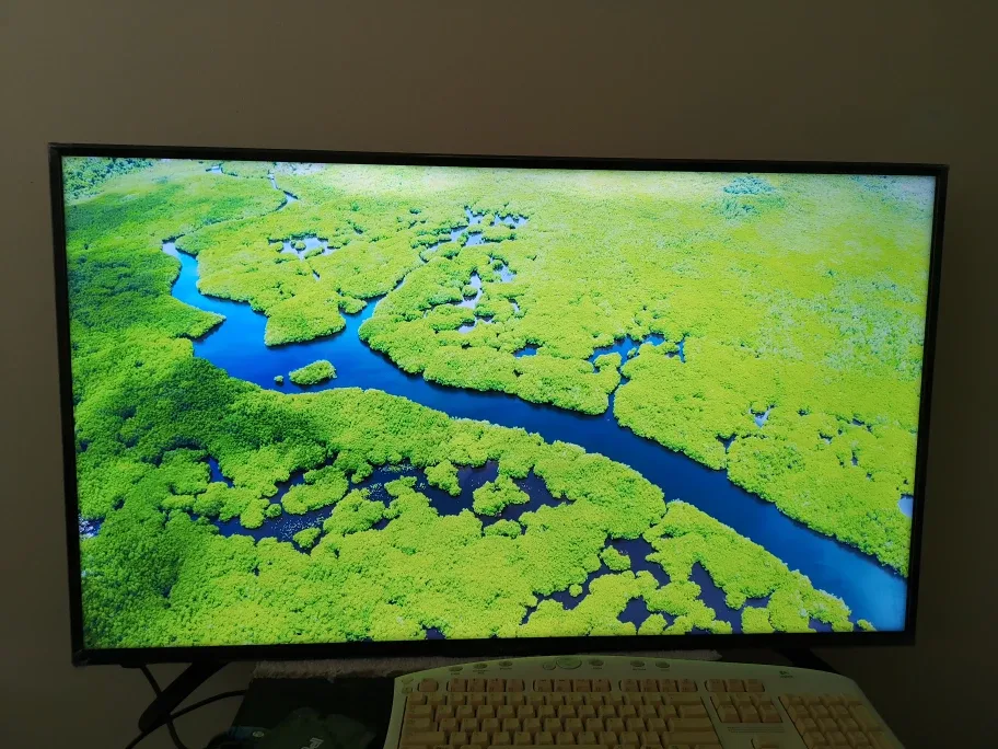 Sharp Roku TV 43" 4K UHD image indicator(2)