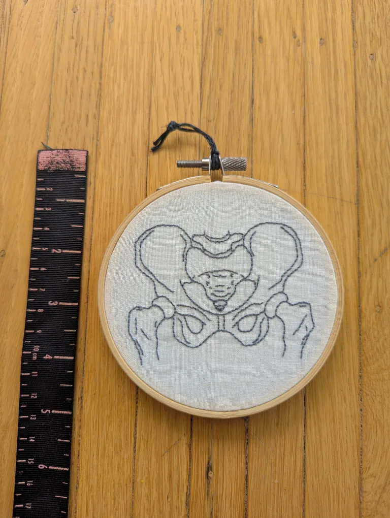 Hand-Stitched Pelvis Embroidery 4" Hoop thumbnail