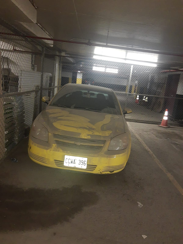 2008 Yellow Cobalt Coupe