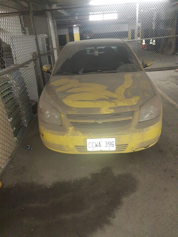 2008 Yellow Cobalt Coupe - photo 4
