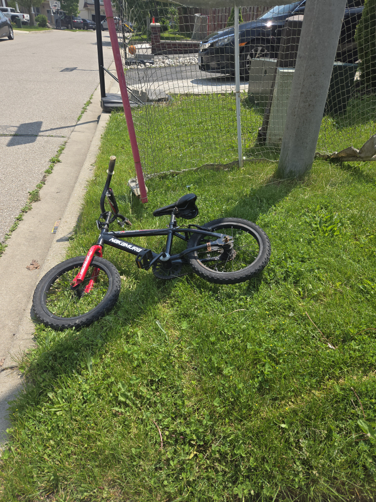 bike and hockey  net