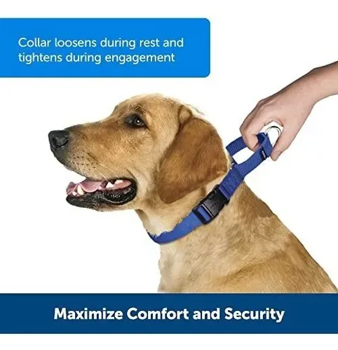 PetSafe Martingale Collar - Size S image indicator(5)