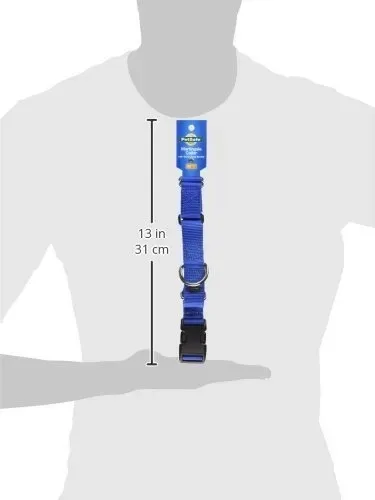 PetSafe Martingale Collar - Size S image indicator(7)