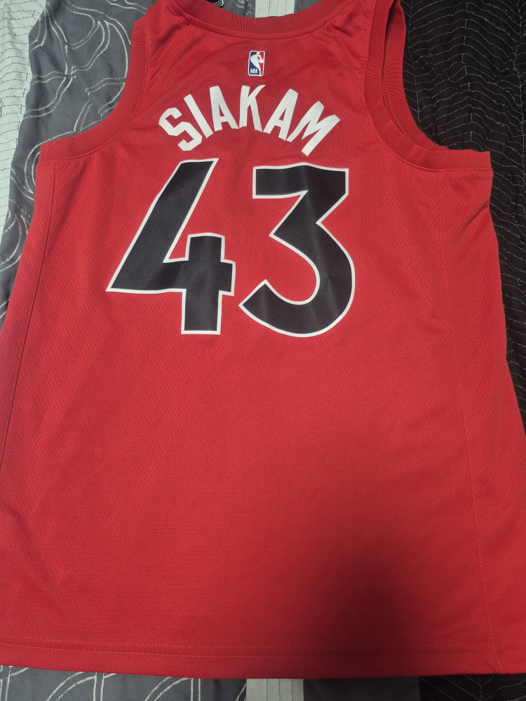 Toronto Raptors Siakam Jersey - photo 2