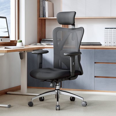 Ergonomic Mesh Office Chair with Adjustable Lumbar Support