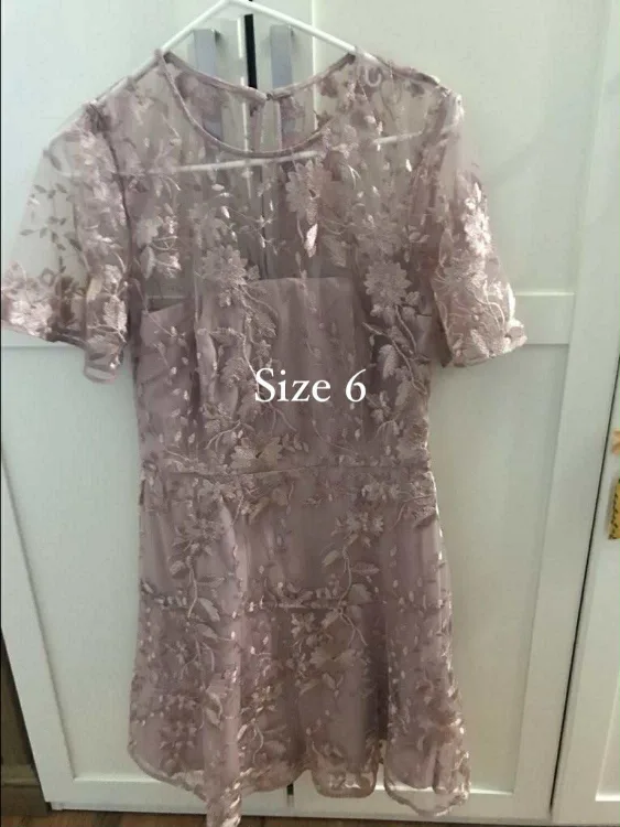 Size 6 Embroidered Laced Dusty Rose Dress thumbnail