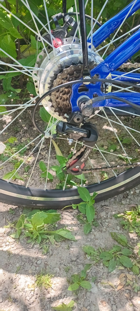 Electric Bicycle - photo 4