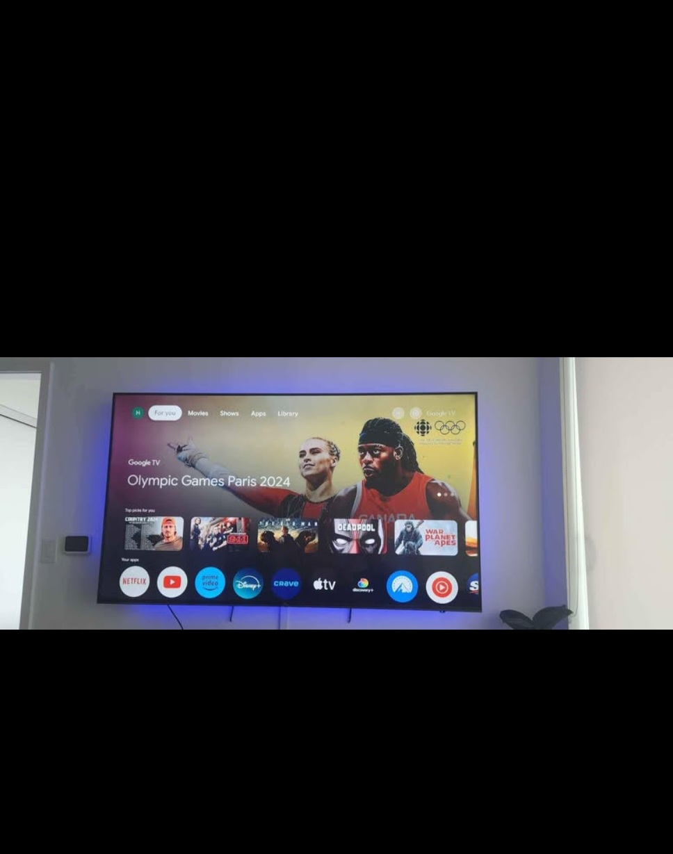 Large Flat-Screen TV