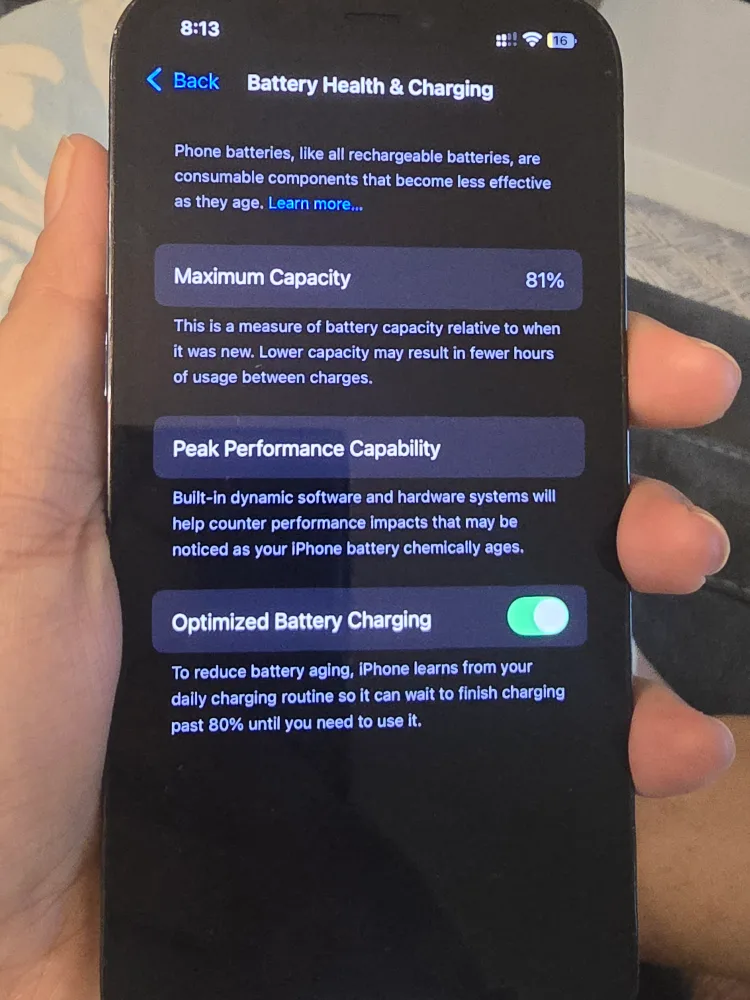 iPhone 12 pro image indicator(3)