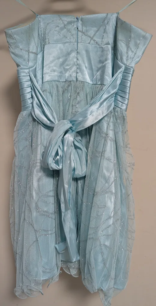 Strapless Blue Sparkle Dress ~ *Pre-Loved* image indicator(4)