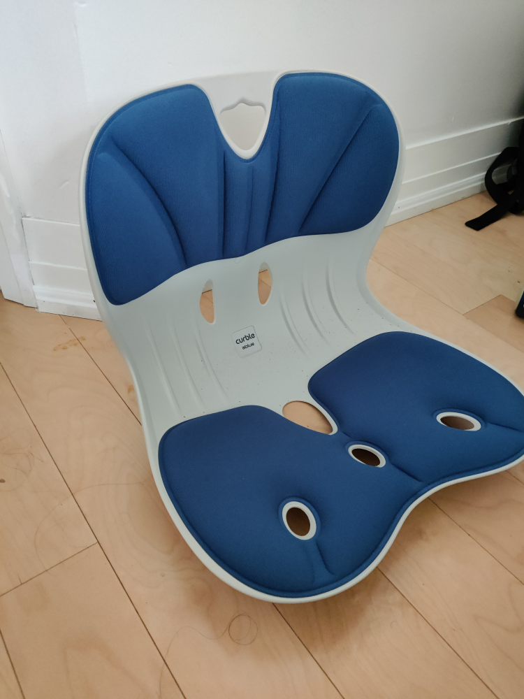 Back support chair cushion