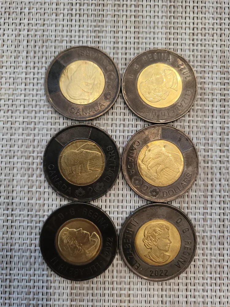 Queen Elizabeth Commerative Black Toonies image indicator(2)