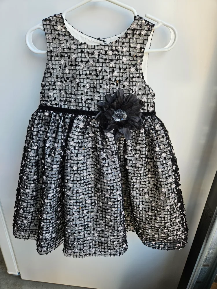 Adorable Girls Dress Size 2 thumbnail