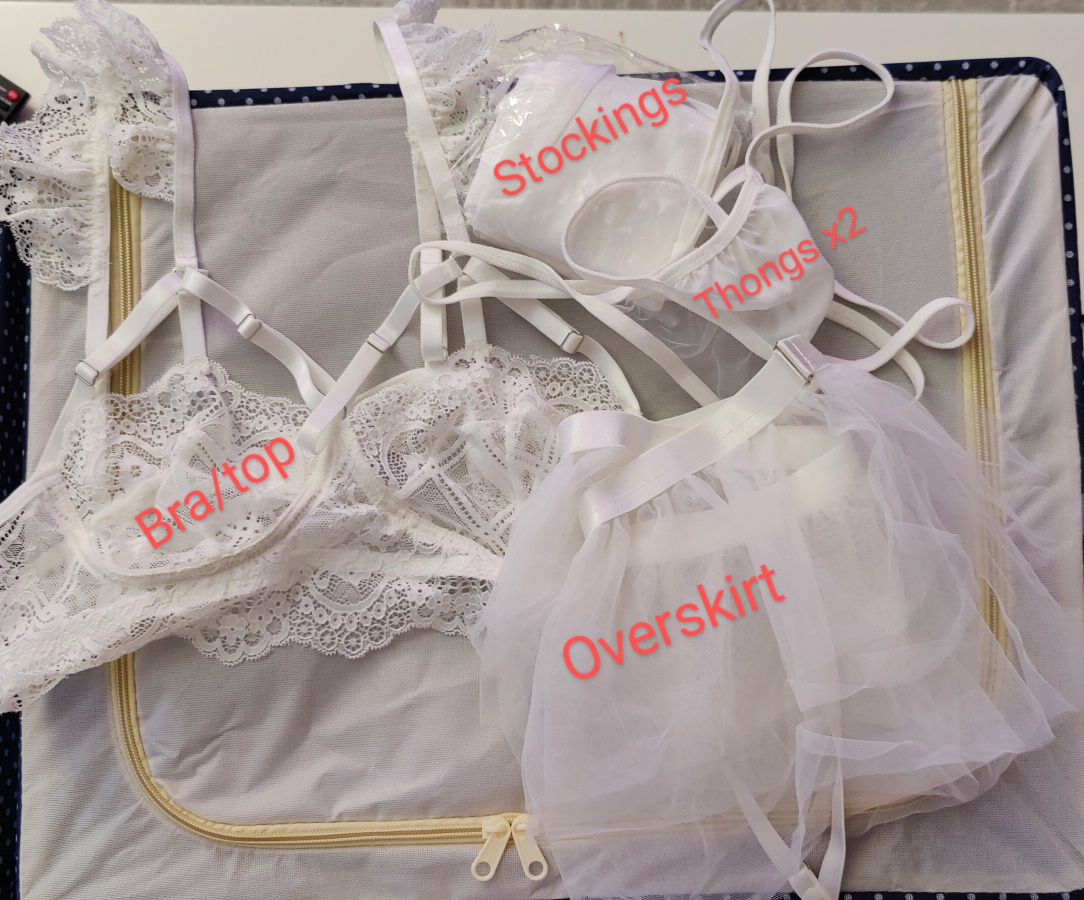 Lingerie Set - Bra/Top, Overskirt, Stockings, Garters