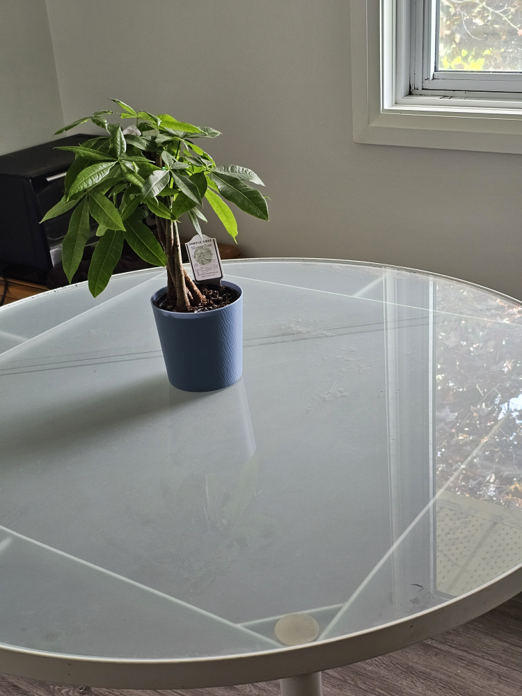 White Round Table
