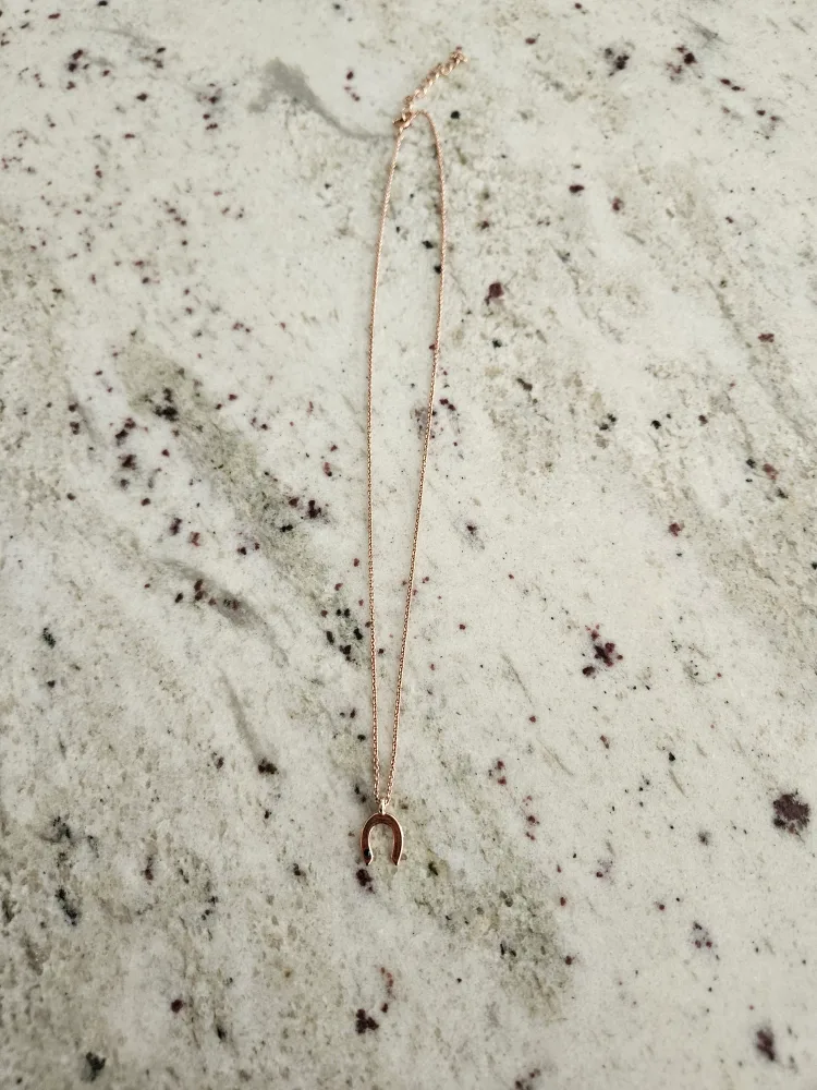 Rose Gold Horseshoe Necklace thumbnail