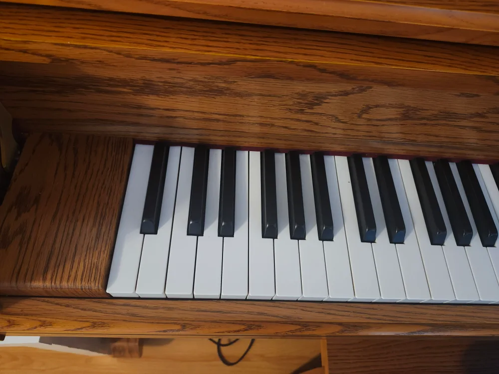 Samick upright Piano for Sale image indicator(2)