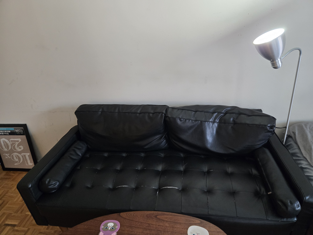 Black Leather Couch - photo 4