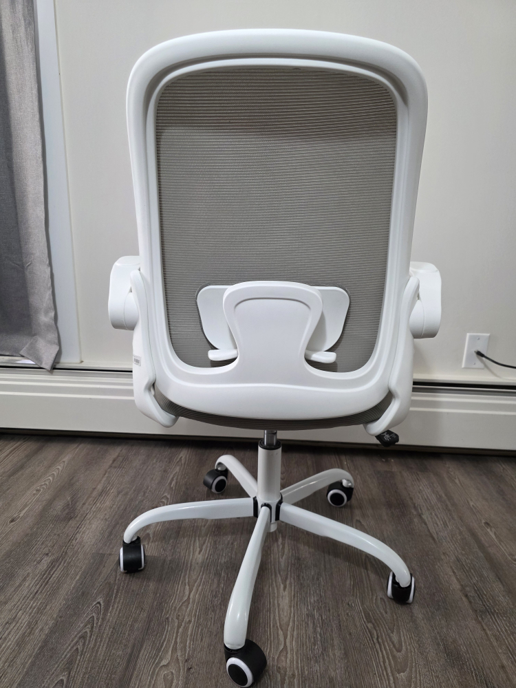 WINRISE ERGONOMIC OFFICE CHAIR WITH LUMBAR