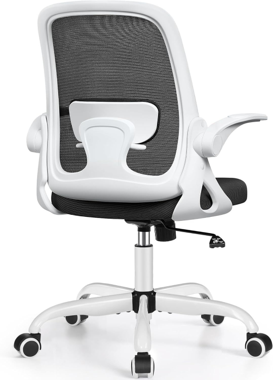 WINRISE ERGONOMIC OFFICE CHAIR WITH LUMBAR - photo 2