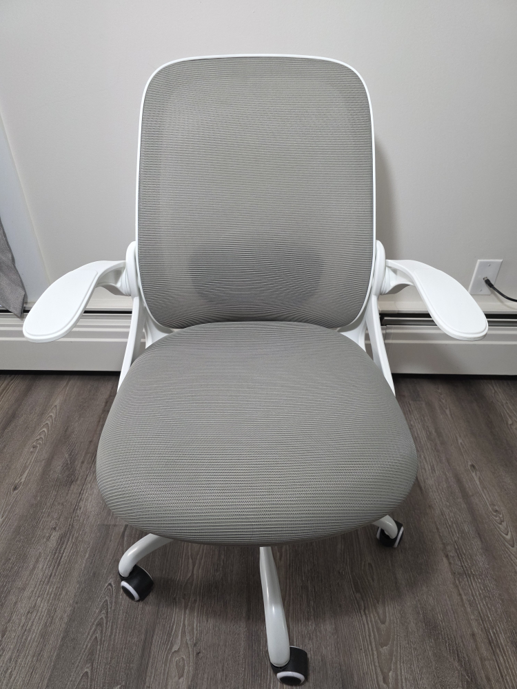 WINRISE ERGONOMIC OFFICE CHAIR WITH LUMBAR - photo 3