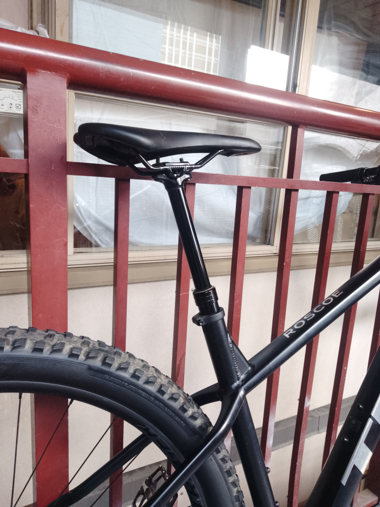 Trek Roscoe Mountain Bike - photo 4