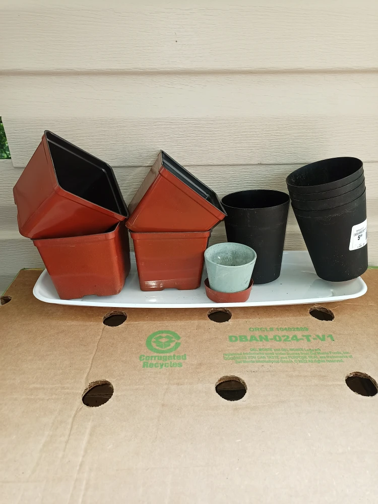 Plant pots #freecycle