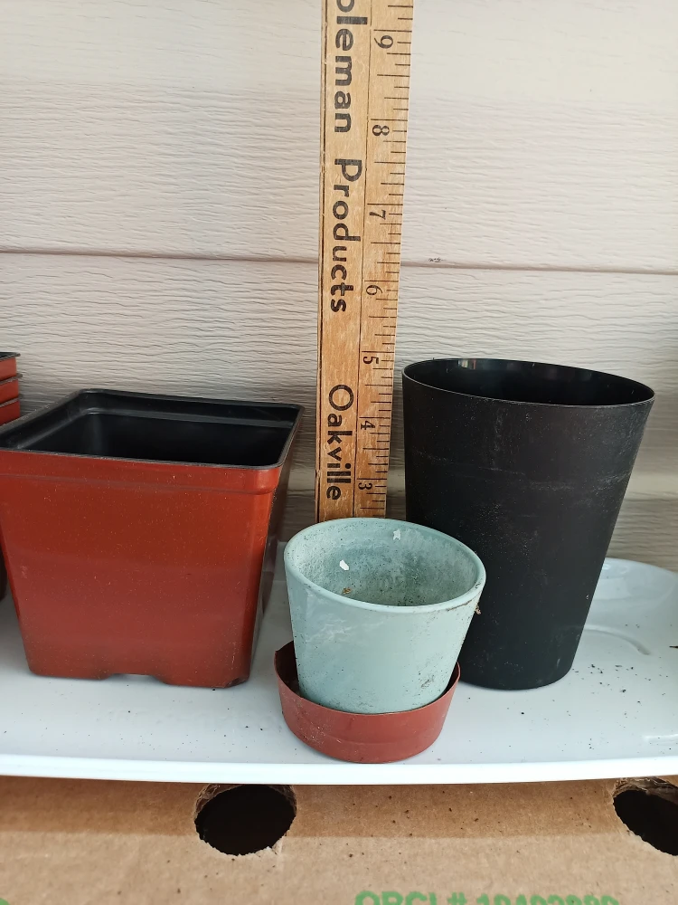 Plant pots #freecycle - photo 2