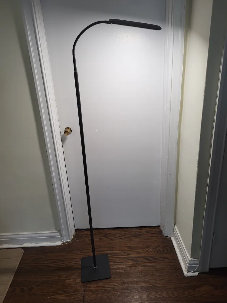 Black Floor Lamp thumbnail