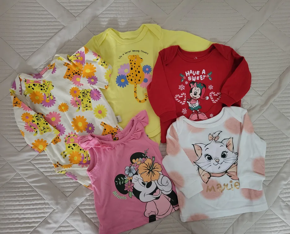 Baby Clothes Bundle 🥕 image indicator(2)