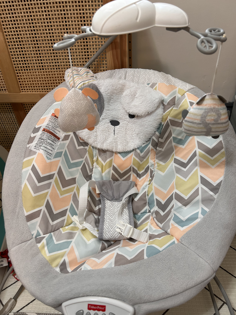 Fisher-Price Puppy Bouncer