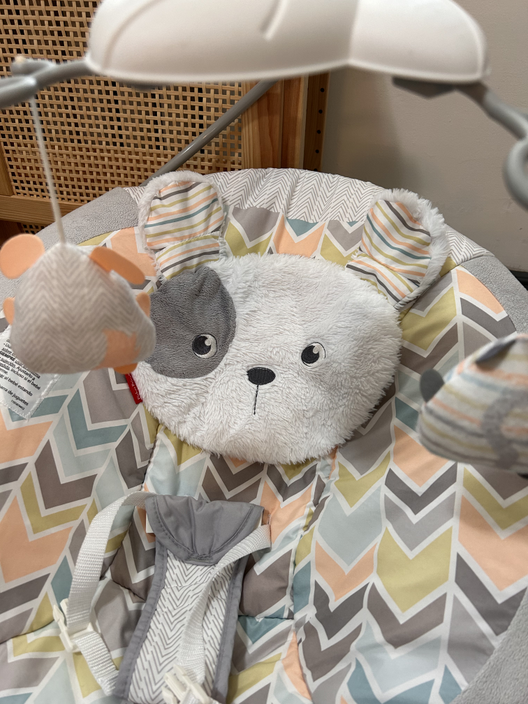 Fisher-Price Puppy Bouncer - photo 2
