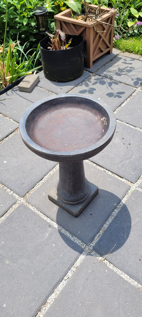 Angelo Décor 20-inch Mindoro Birdbath - photo 2