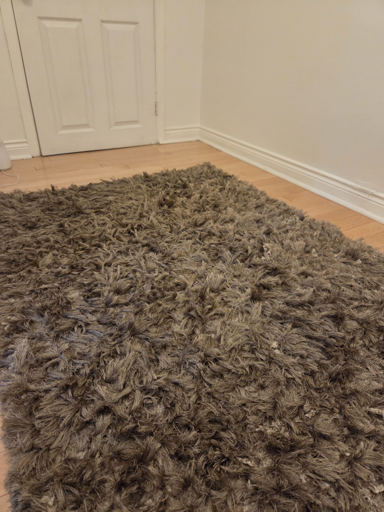 Brown Shag Rug 5x7ft - photo 2