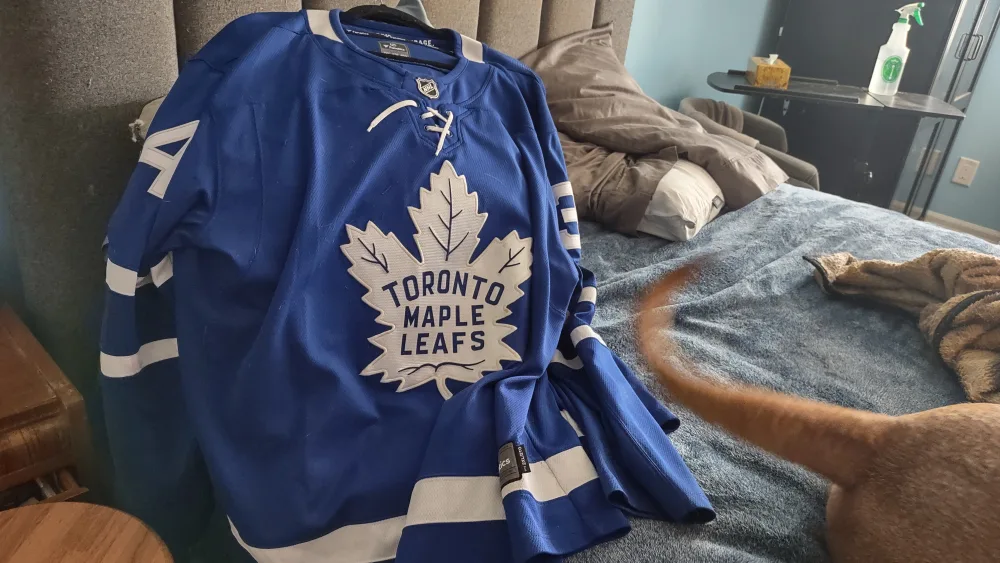 Toronto Maple Leafs Jerseys image indicator(3)