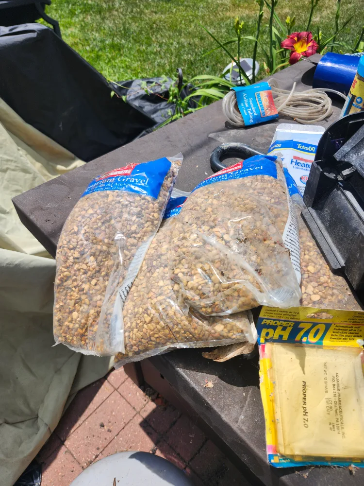 Aquarium Supplies: Filter, Gravel, & More! thumbnail
