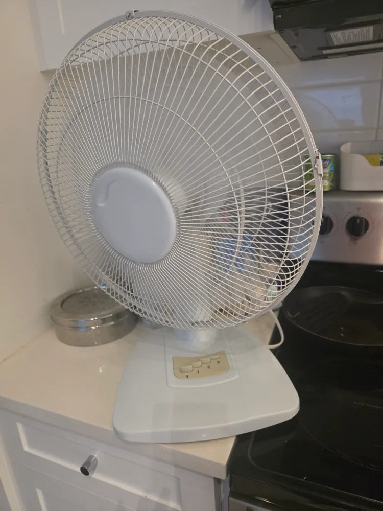 White Oscillating Fan🥕 image indicator(2)