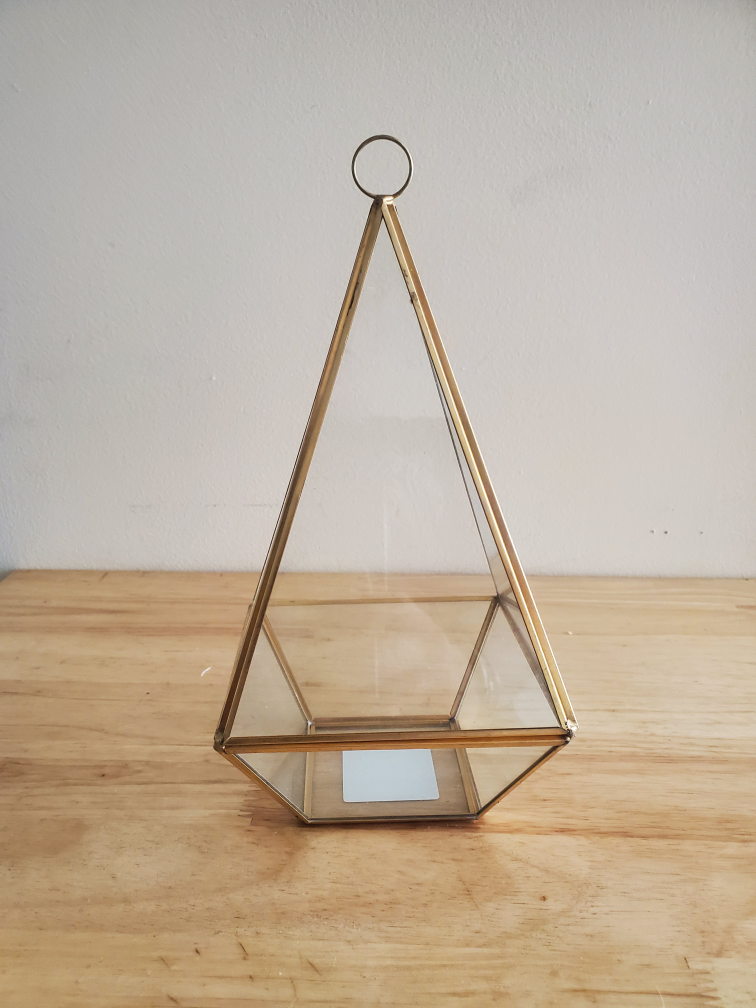 Geometric Terrarium set of 10