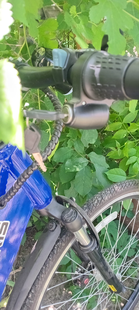 Electric Bicycle - photo 2
