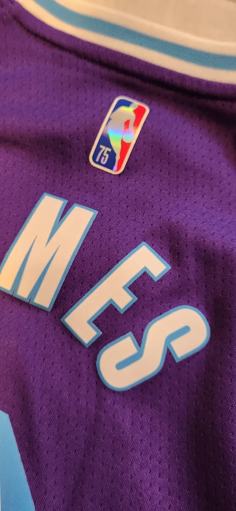 Youth size 10/12.  Lakers City Edition Basketball Jersey image indicator(2)