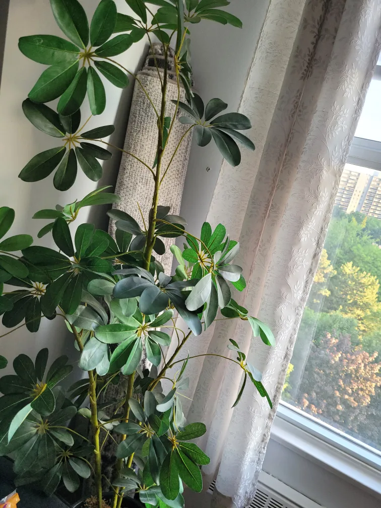 Plant - artificial thumbnail