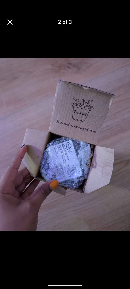 OFFIDIX Glass Spray Bottle - Mister 🥕 image indicator(3)