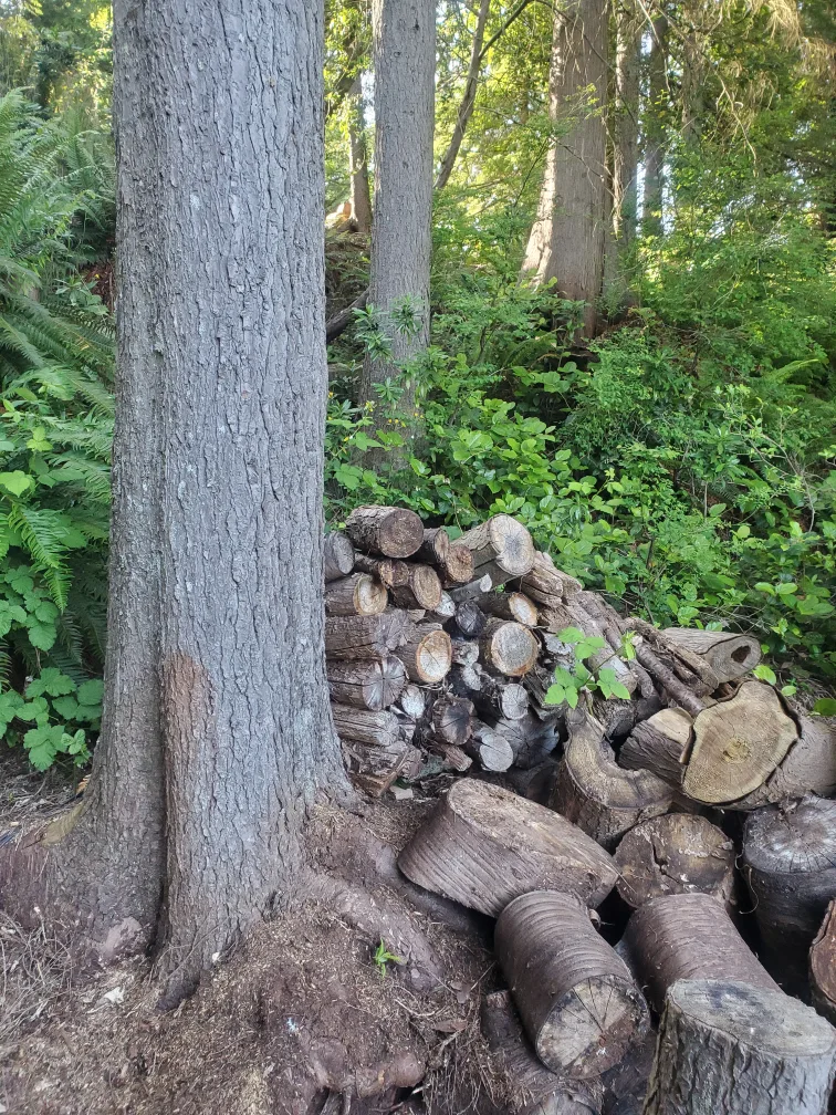 free firewood image indicator(3)