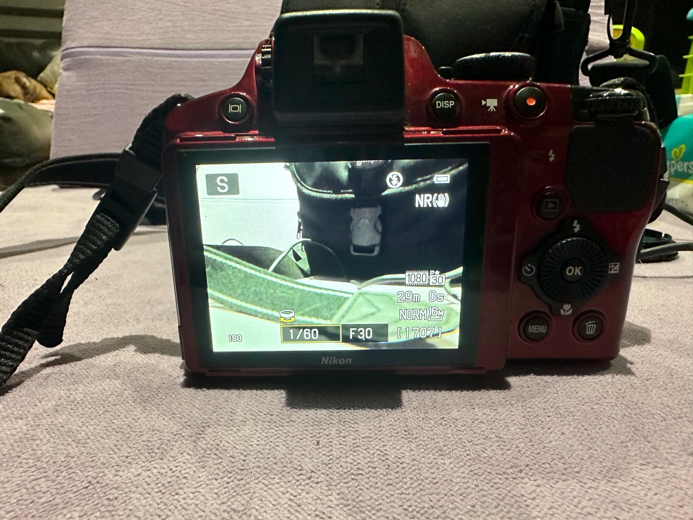 Nikon Digital Camera with 42x Optical Zoom - photo 4