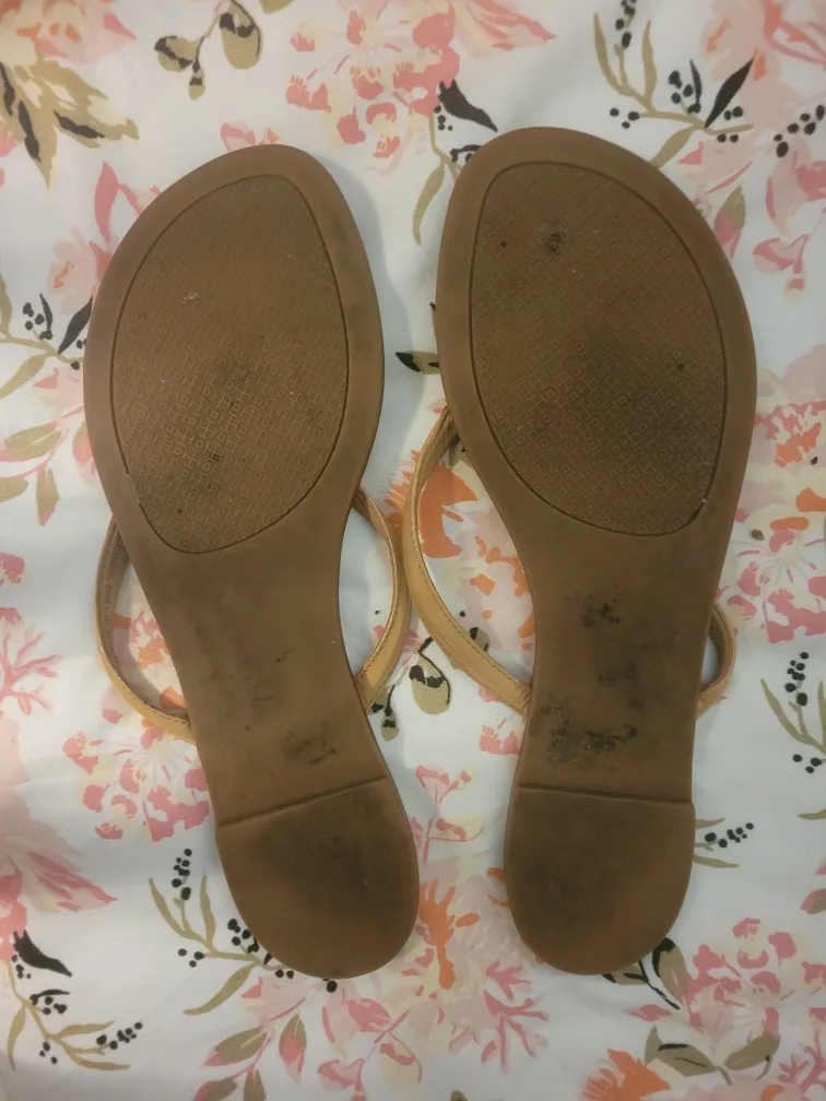 Tory Burch Flip Flops image indicator(2)