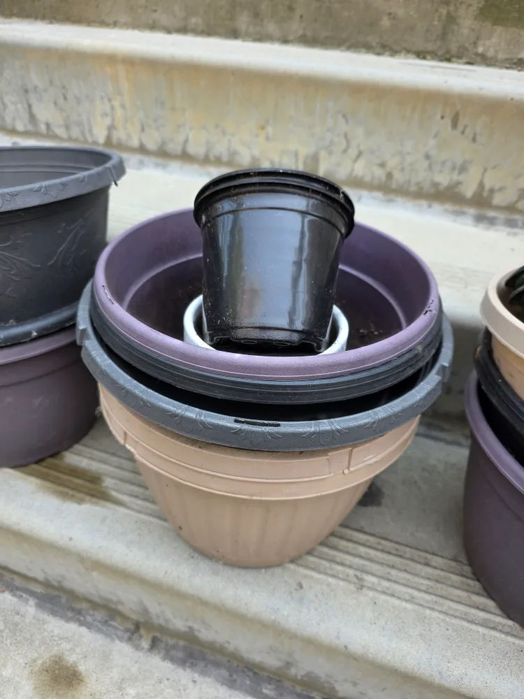 🥕 #FREECYCLE Free Various Plastic Plant Pots Planters image indicator(3)