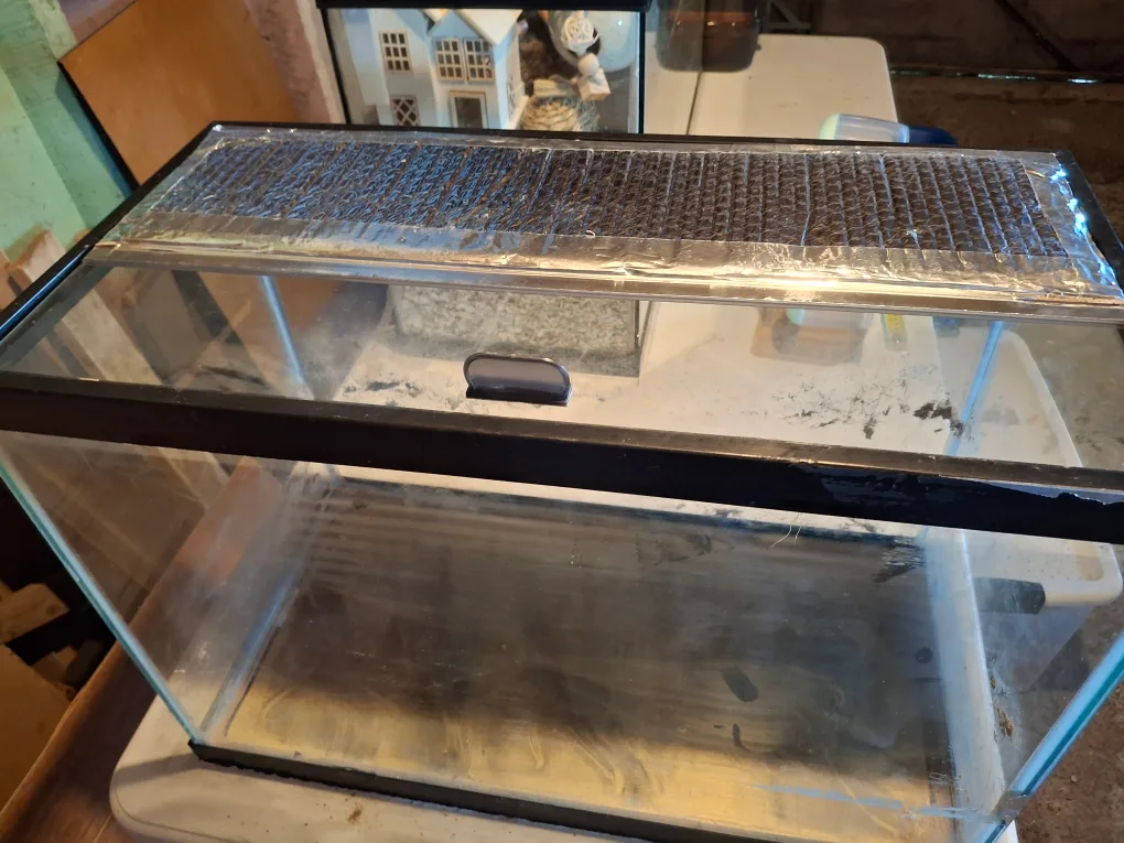 Aquarium/ Terrarium with lid 30? thumbnail