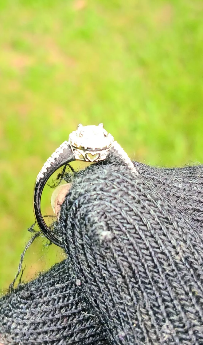 GRA VVS1 silver Ring image indicator(3)