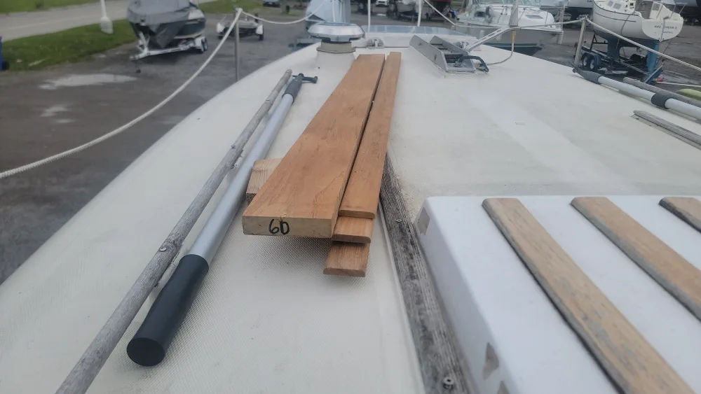 Teak from Noah's image indicator(2)